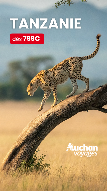 Tourisme - Auchan Voyages (Tanzanie) 427x758