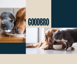 Animaux - Goodbro 300x250