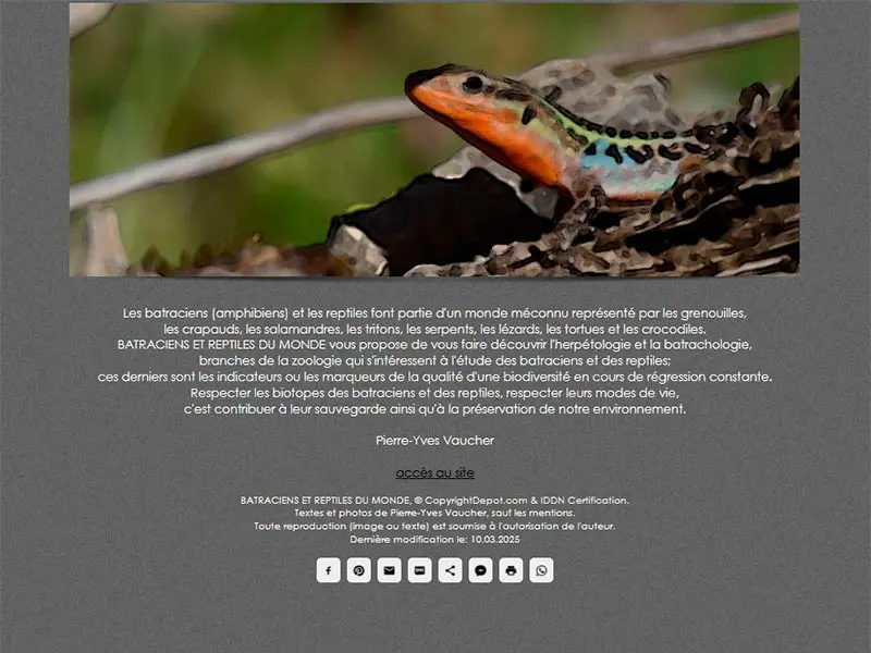 Batraciens et reptiles du monde