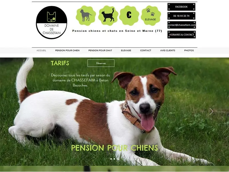 Chassefaim : Pension canine sur Région Île de France