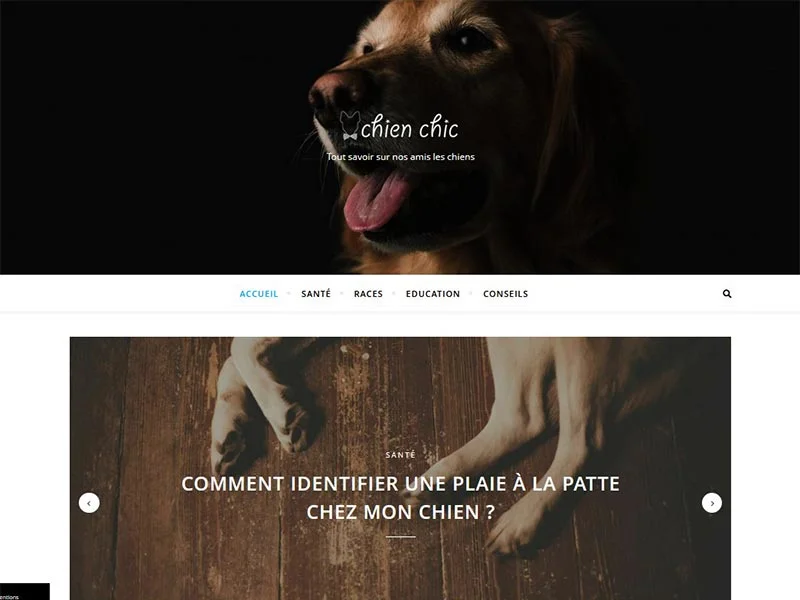 Chien-chic, tout savoir et comprendre nos amis les chiens