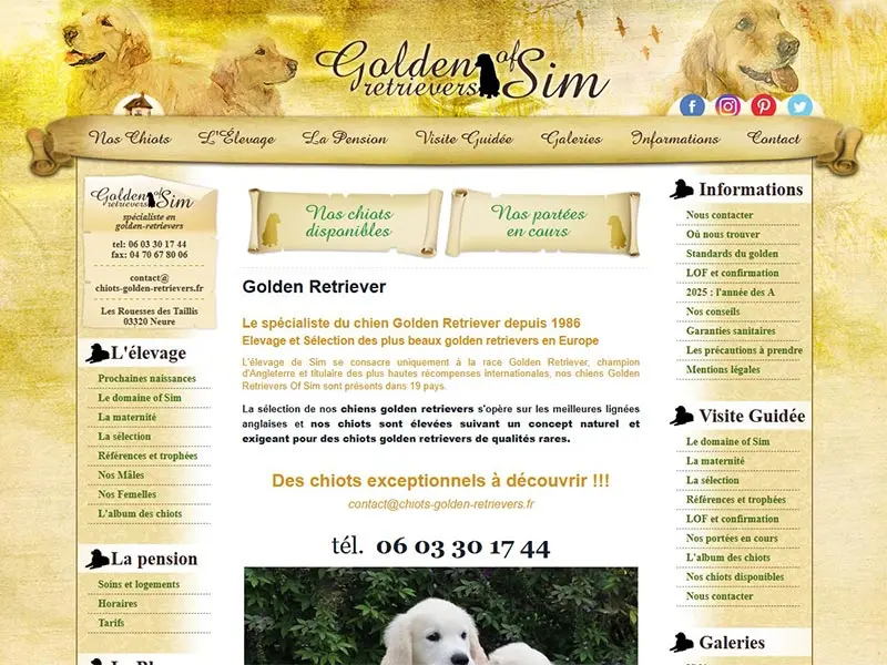 Golden Retrievers of Sim : Elevage et vente de chiots