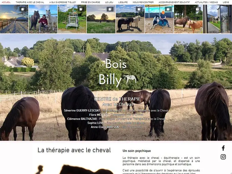 Therapie avec le cheval, handicap et équithérapie